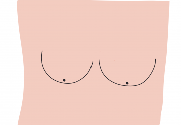 Les seins, les oreilles et la plage.